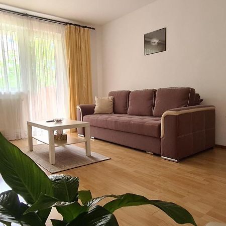Armonia Apartment Brasov Exterior photo